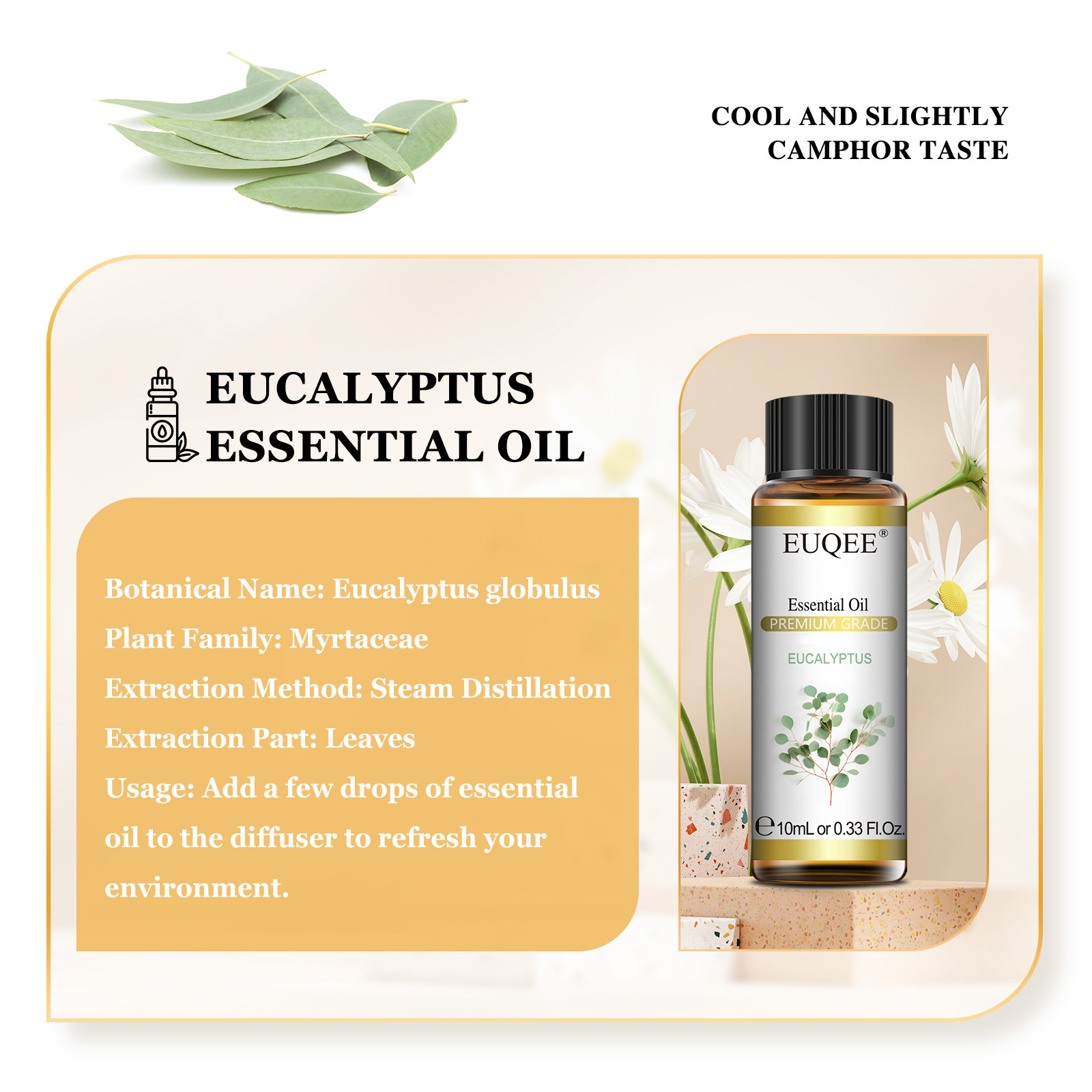 EUQEE 10ML 천연 에센셜 오일 유칼립투스 스피어 - Soap Making Ingredients 리뷰 및 가격