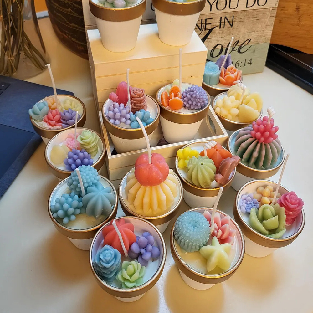 6pcs 다육 실리콘 양초 금형 양초 비누 만들기, 왁 - Soap Making Vendors 리뷰 및 가격